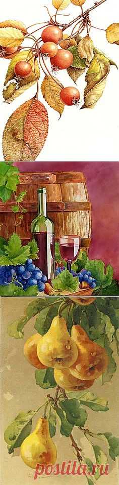 Фрукты акварелью - Water color Fruits