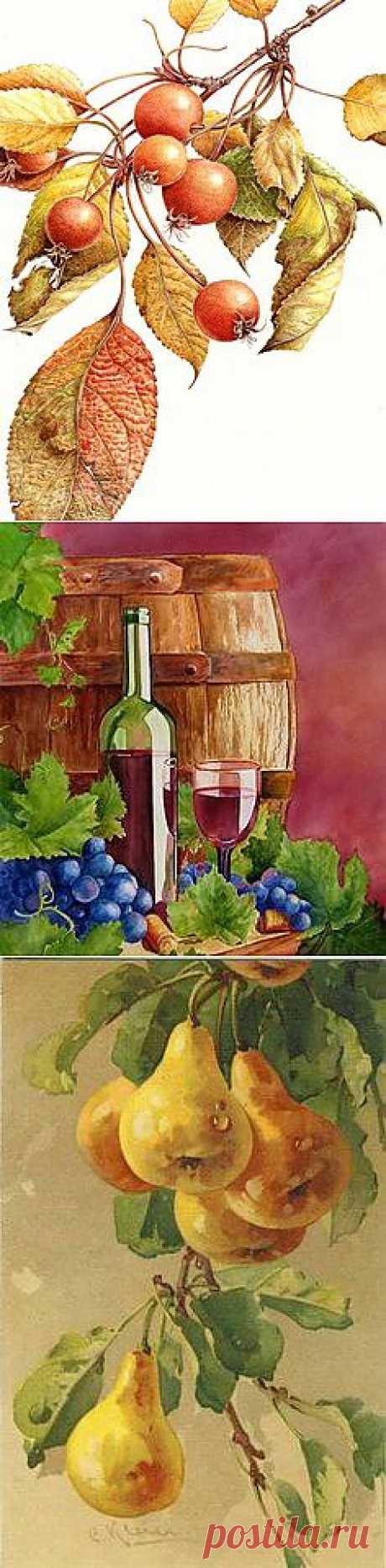 Фрукты акварелью - Water color Fruits