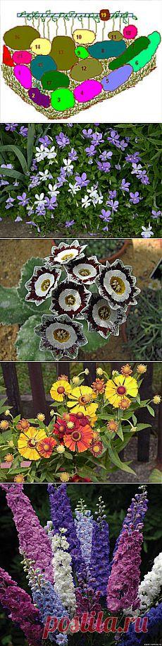 (+1) тема - Цветник – "Хамелеон" | ОГОРОД БЕЗ ХЛОПОТ