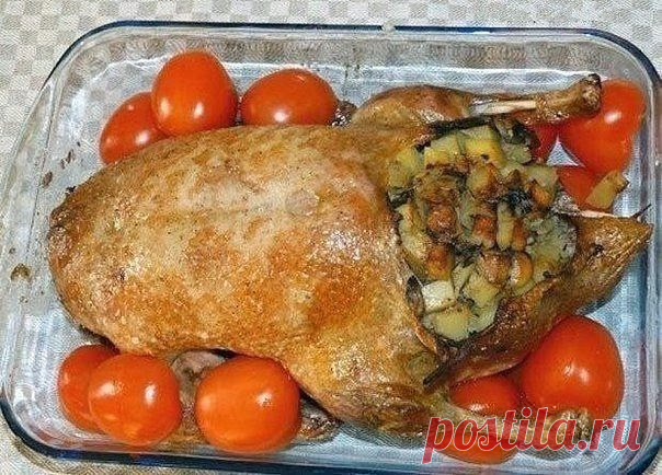 Праздничная фаршированная утка