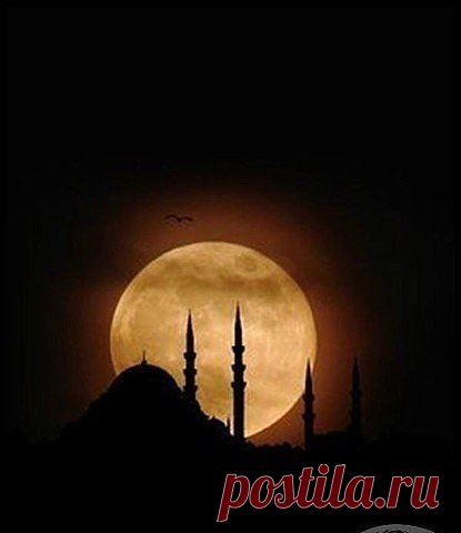 Одноклассники