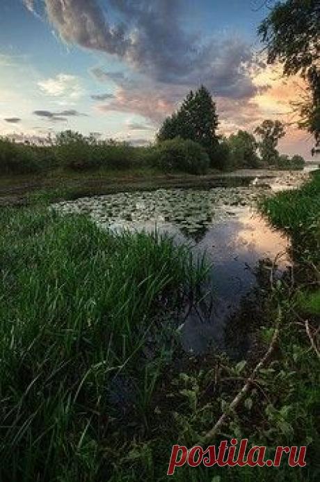 20 фотографий, от которых хочется смотреть в небо / Surfingbird знает всё, что ты любишь