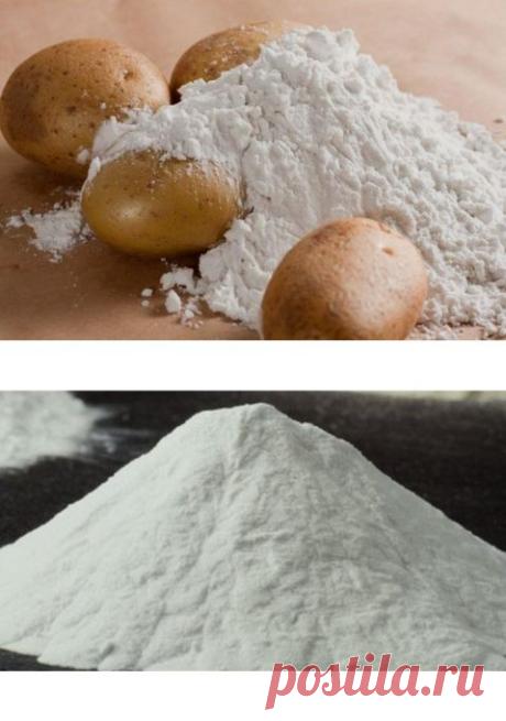 Что такое крахмал?