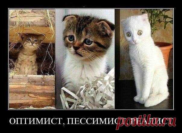 (1) Мой Мир@Mail.Ru