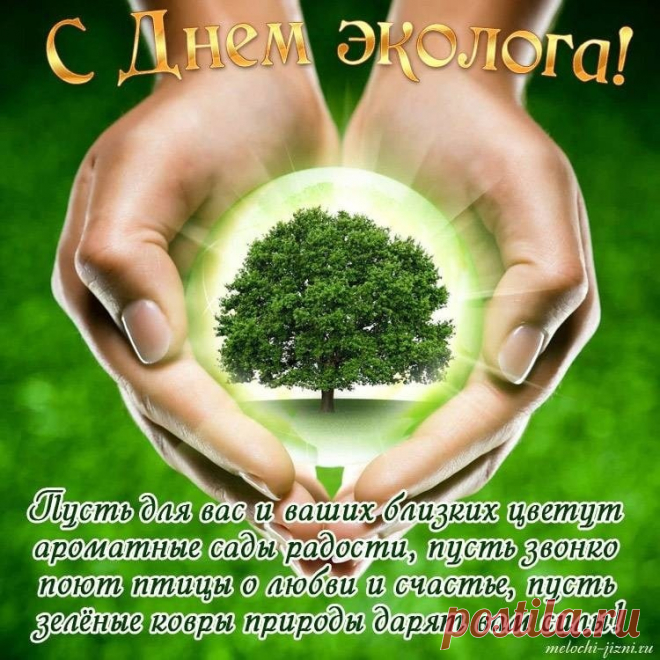Я экологам желаю
Пополнять свои ряды,
Ваша миссия — охрана
Окружающей среды.