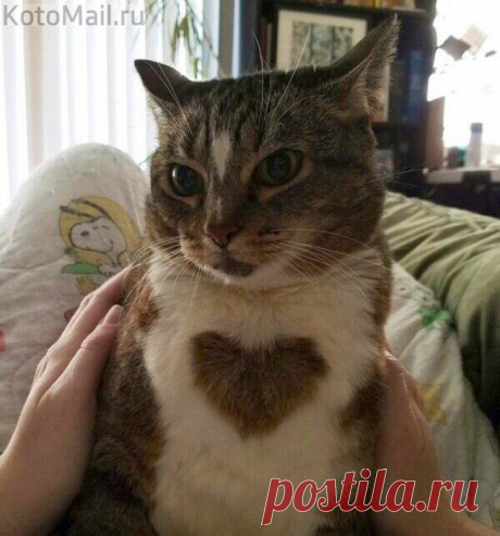 Когда природа постаралась