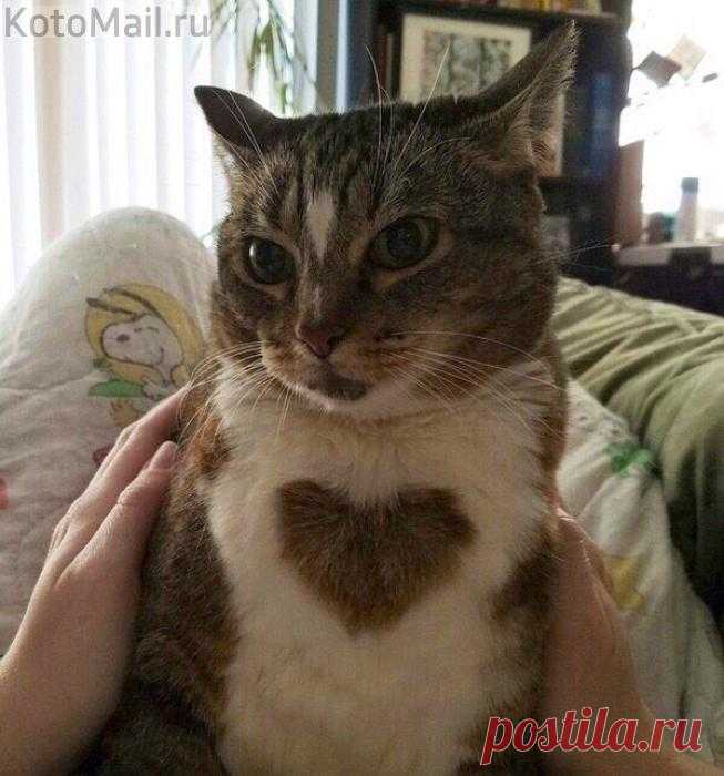 Когда природа постаралась