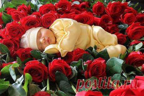 Всё сильнее влюбляюсь в эту  Компанию  Фаберлик Оn-лaйn. Ребёнок рядом, смотрит мультик и играет, если подойдёт – я с ним поиграю. Всё то же, что и на работе обычной, в офисе, только никто мне ни на что не указывает, не ограничивает в передвижении. Всё, что я не сделала днём – могу сделать вечером, ночью, КОГДА МНЕ это будет удобно и там, ГДЕ МНЕ это удобно, в той одежде, в которой хочу !!!!!!!!!Хотите узнать ставьте плюс в комментарии,отвечу.И поставьте класс чтоб деньги водились!!!!