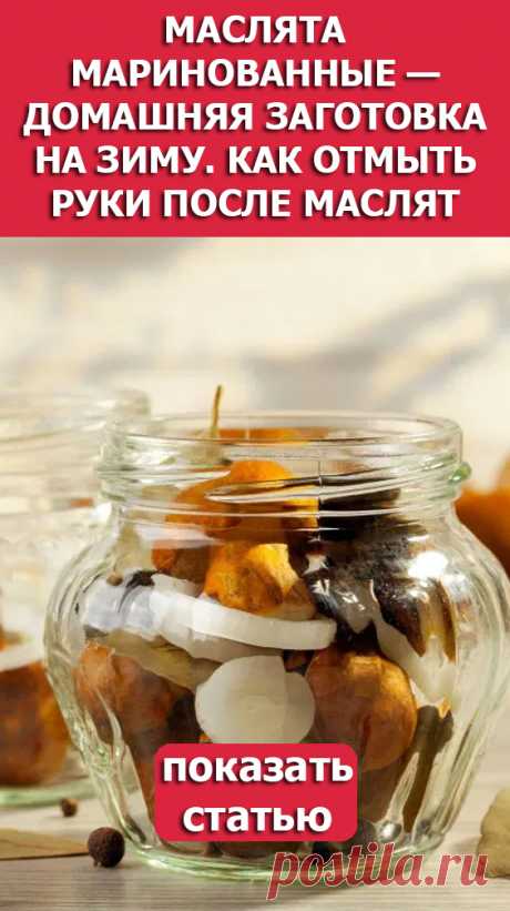 СМОТРИТЕ: Маслята маринованные — домашняя заготовка на зиму. Как отмыть руки после маслят