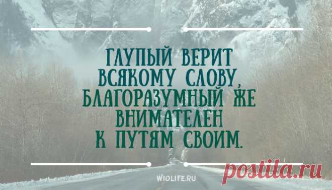 30 мудрых мыслей царя Соломона