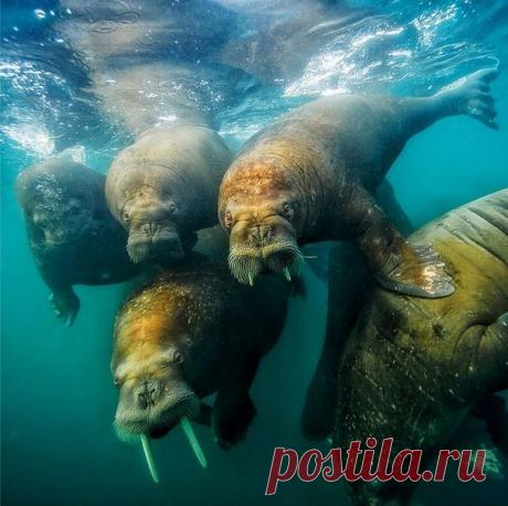 Десятка самых интересных фотографов в Instagram | Мир Фотографии