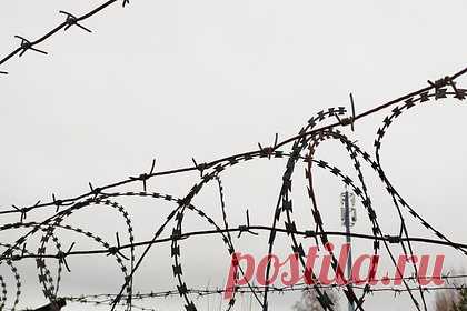 Из российской колонии сбежал неоднократно судимый насильник. В Прикамье из исправительной колонии №1 (ИК-1) в Соликамске сбежал 60-летний заключенный. До выхода на свободу мужчине оставалось два года. Отмечается, что он сбежал из хоздвора ИК-1 по пути на работу. Мужчина провел за решеткой годы за мошенничество, изнасилования и похищения людей.