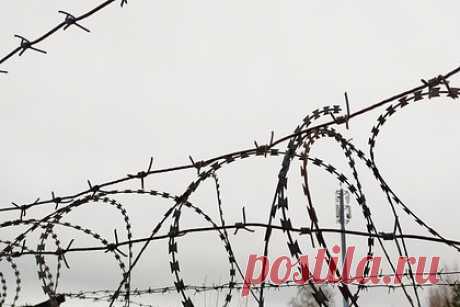 Из российской колонии сбежал неоднократно судимый насильник. В Прикамье из исправительной колонии №1 (ИК-1) в Соликамске сбежал 60-летний заключенный. До выхода на свободу мужчине оставалось два года. Отмечается, что он сбежал из хоздвора ИК-1 по пути на работу. Мужчина провел за решеткой годы за мошенничество, изнасилования и похищения людей.