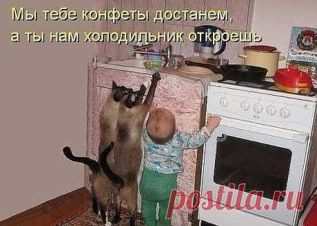 Загрузка файла