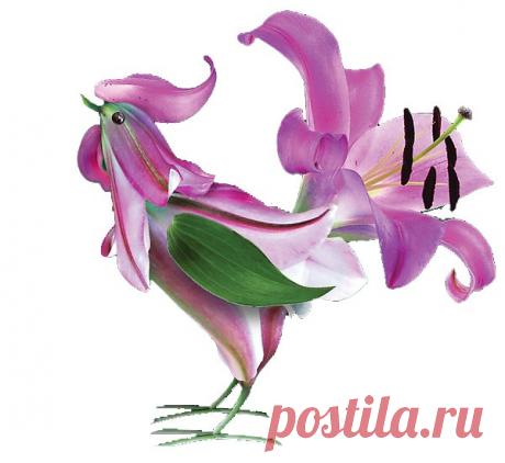 Интересные новости