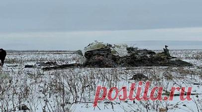 СК: в районе крушения Ил-76 нашли 116 фрагментов ракет с английскими надписями. В районе крушения военно-транспортного самолёта Ил-76 в Белгородской области, сбитого ВСУ, было обнаружено 116 фрагментов двух зенитных ракет с надписями на английском языке.  Читать далее