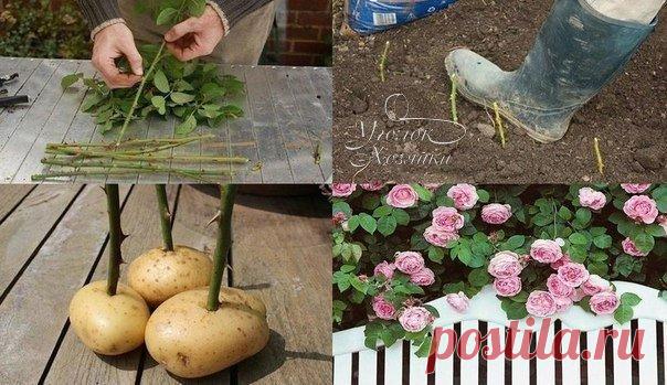 Уголок хозяйки | ВКонтакте