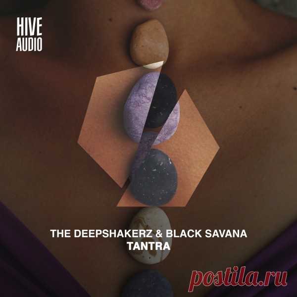 The Deepshakerz, Black Savana – Tantra [HA134X]