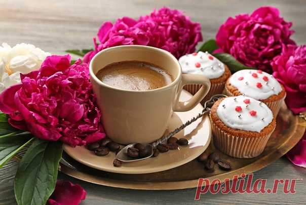 Доброе утро!… Проснуться от запаха СЧАСТЬЯ,
Найти погоду прекрасной.
Прихлёбывать кофе в уютном халате...
Умыться, одеться — И выйти из дома,
Мурлыча любимую песню.
Не думать, что было и будет,
А жить — каждый день — как впервые В волшебном СЕГОДНЯ…