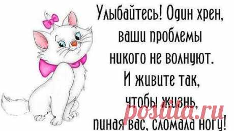 (47) Одноклассники
