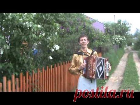 ОДИНОКАЯ ВЕТКА СИРЕНИ - поёт Дима Орлов