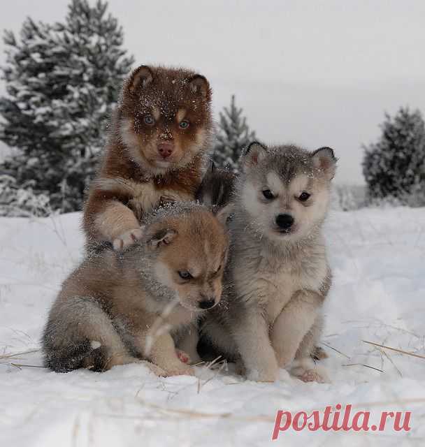 Фотографии / в Кругу Друзей - социальная сеть