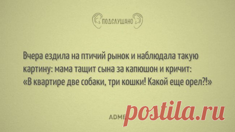 Подслушано