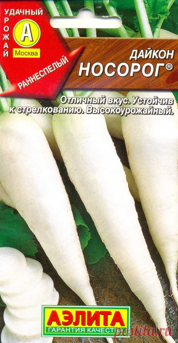 Дайкон носорог описание Огород без хлопот - информационный сайт для дачников, садоводов и огородников.