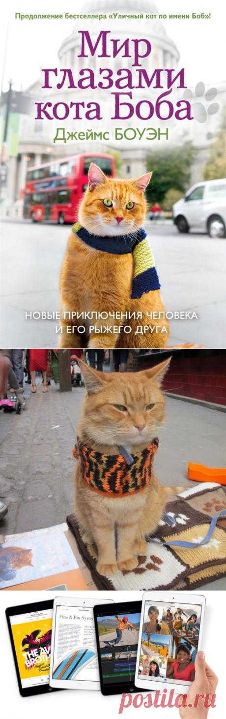 Мир глазами кота Боба — Воротила
