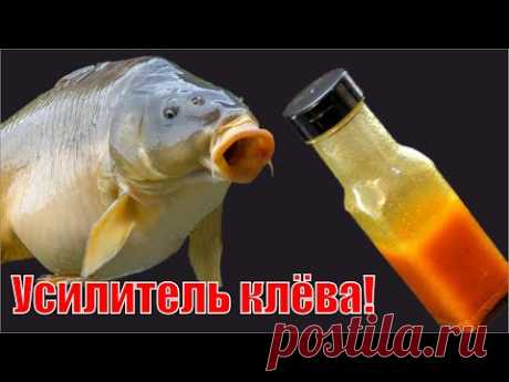 КАРПОВЫЙ аттрактант, усилитель клева - YouTube
