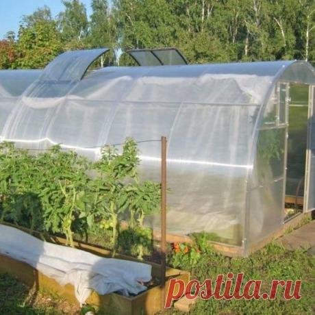 Законы плодородия в нашем саду