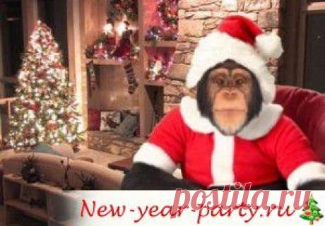 2016 год какого животного по гороскопу? Символ года 2016, что сулит?