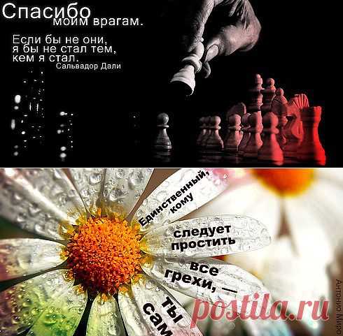 Картинки со смыслом с надписями