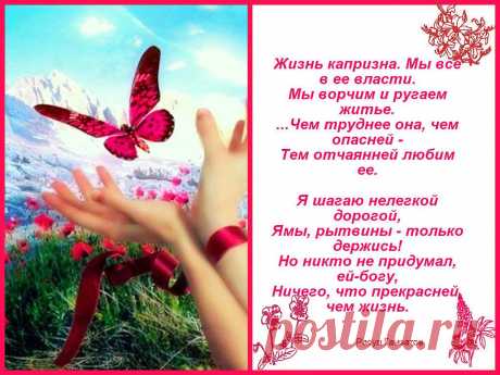 Счастья птичка на твою страничку
алла панова (шут)