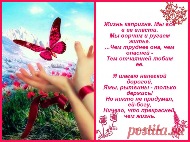 Счастья птичка на твою страничку
алла панова (шут)