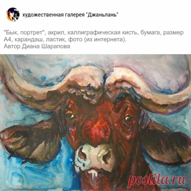 раздел "быки"