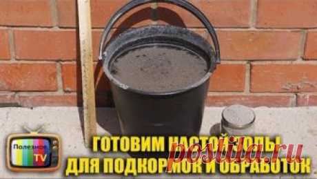 ГОТОВИМ НАСТОЙ ЗОЛЫ ДЛЯ ПОДКОРМОК И ОБРАБОТОК