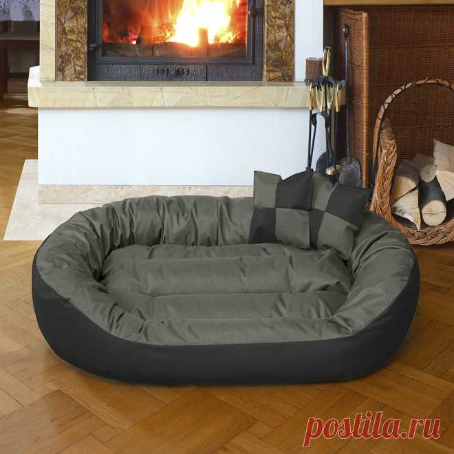 BedDog 4in1 Bed for a dog SUNNY XL till XXXL , 13 colours to choose, pillow for a dog, sofa for a dog, basket for a dog,anthracite/grey XXXL, 150x120 cm (59x47 inch): Amazon.co.uk: Pet Supplies
