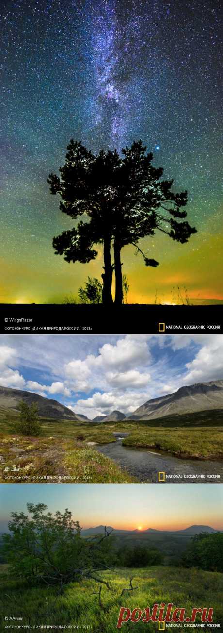 Фотоконкурс «Дикая природа России - 2013» | National Geographic Россия | Страница 5