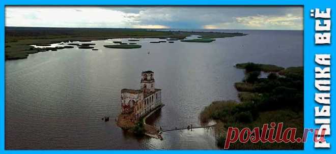 Топ-10 лучших мест для рыбалки в Подмосковье | Рыбалка Всё | Дзен