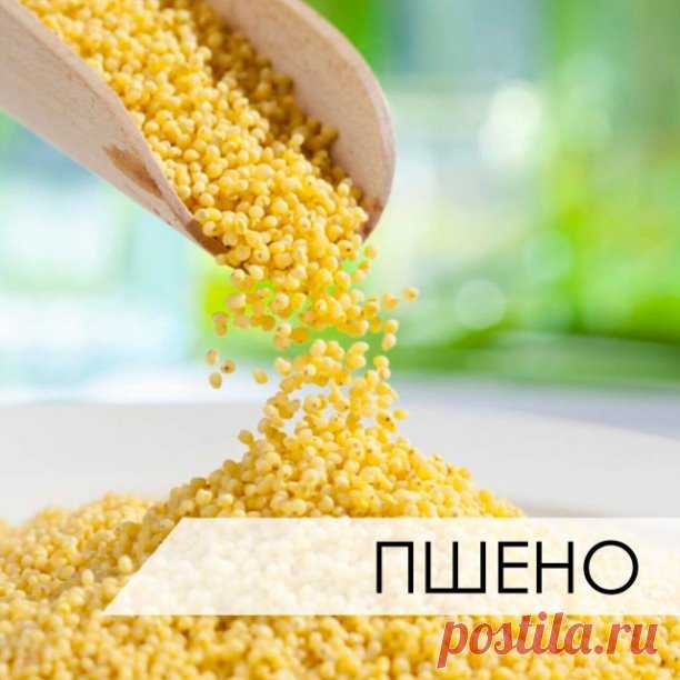 Лечение почек ПШЕНОМ.

Лечение почек пшеном очень эффективно. Пшено выводит камни и песок из почек, из мочевого пузыря, лечит цистит, помогает при женских заболеваниях.

Статья посвящена старинным, немного забытым методам лечения почек пшеном, которые можно применять
и в наши дни.


1. Стакан пшена промыть теплой водой, высыпать в 3-литровую банку и залить все горячей водой. После этого настаивать при комнатной температуре, укрыв чем-то теплым. На следующий день Вы увидите...