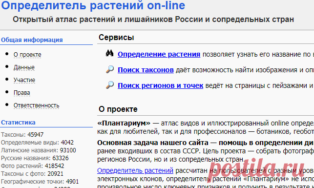 Определитель растений on-line - Плантариум