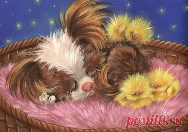 h-497.jpg (800×564)