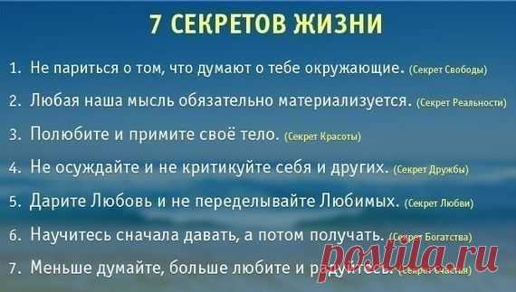 Все интересное - speromelius