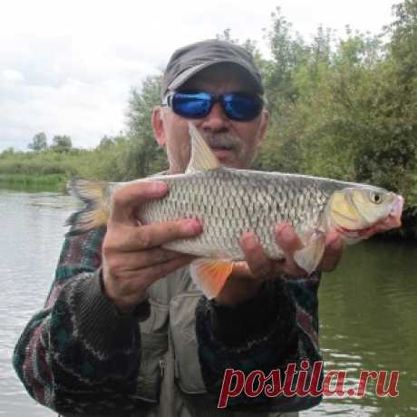 Ловля голавля - МирТесен