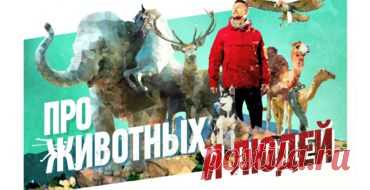«Про животных и людей»: версия без цензуры / Видео / Моя Планета