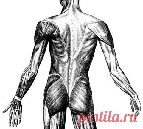 Постукивание по щитовидной железе и еще 6 полезных кинезиологических упражнений