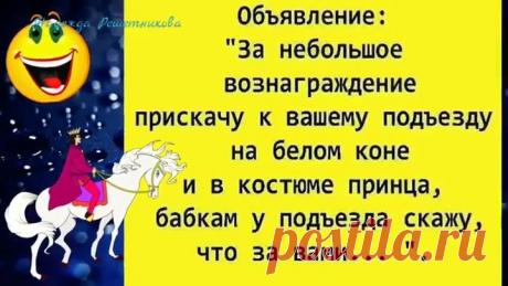 Симпатичный кролик ищет приключения на свою морковку ! Юморнем? 😂
