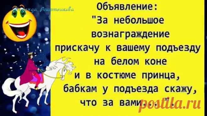 Симпатичный кролик ищет приключения на свою морковку ! Юморнем? 😂