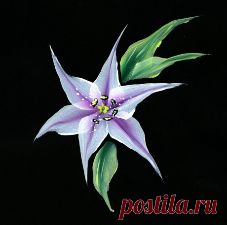 Рисунки плоской кистью от Юлии Белей